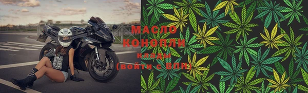 гидра Козловка