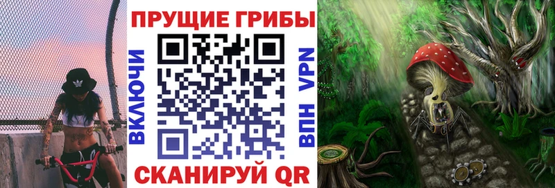 Псилоцибиновые грибы Magic Shrooms  Купить закладки  Анива 